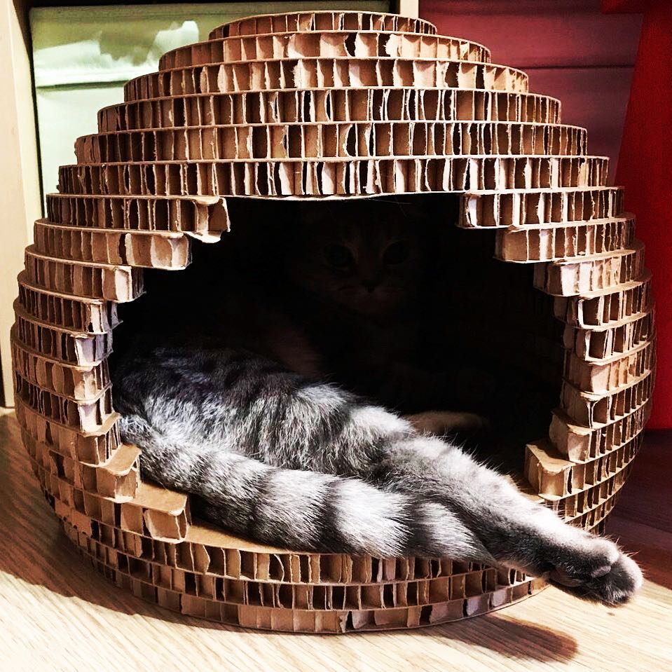 Купить домик для кошки из картона в Экосклад